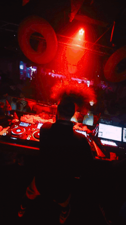 Gif 1